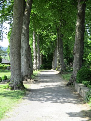 Allee auf dem alten Friedhof